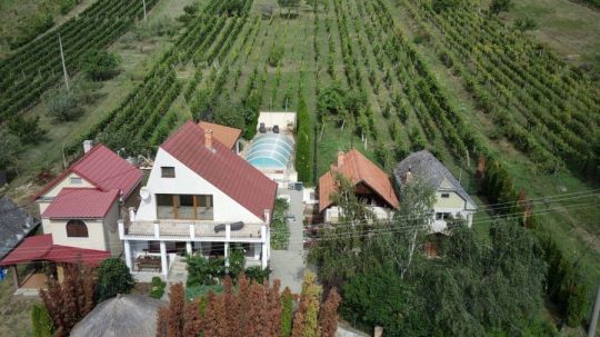 Anwesen mit Pool und Weinberg in Vinica / Slowakei - Preissenkung